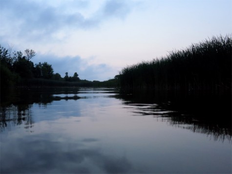 Muskegon River, July 31, 2014