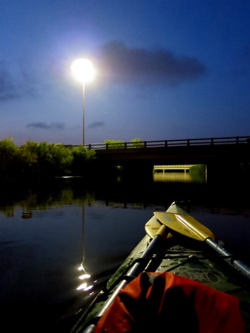 Muskegon River, July 31, 2014